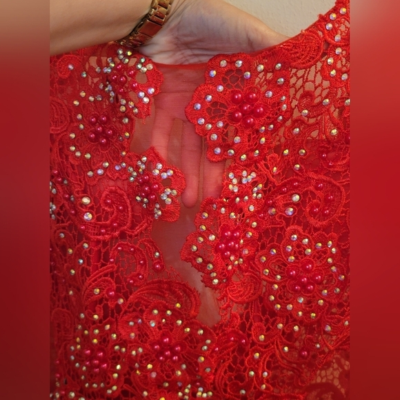 Regina Paris Coquette Lace Dress NWT. Wedding Guest Girly - Picture 3 of 12